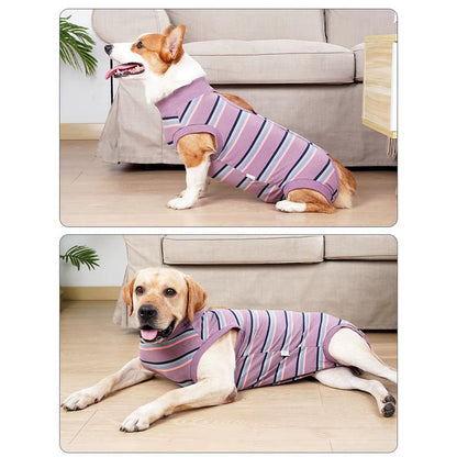 Pet Clothes Postoperative Clothes Winter Fleece Pet Cotton Coat Thickened Warm and Soft Winter Pet Clothes for Small Dogs Male