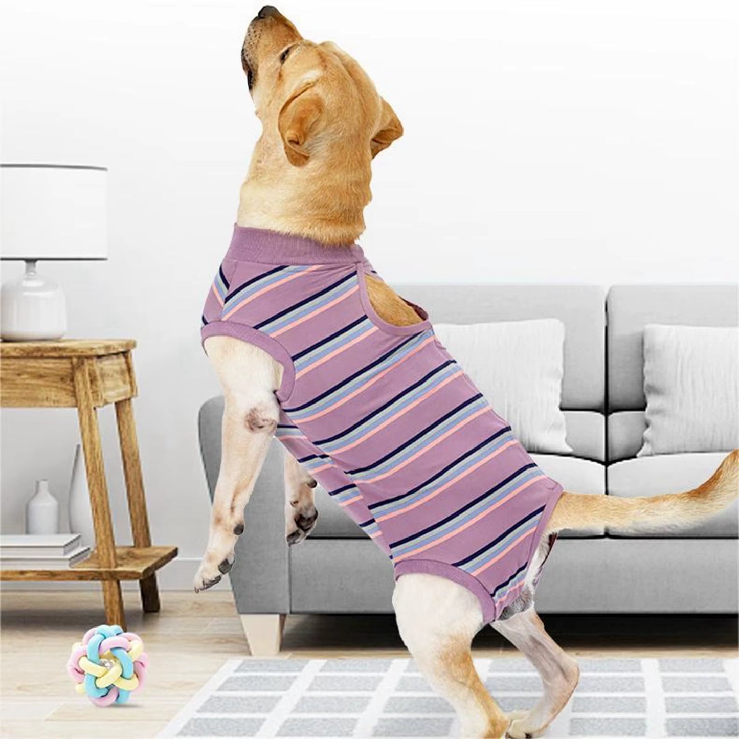 Pet Clothes Postoperative Clothes Winter Fleece Pet Cotton Coat Thickened Warm and Soft Winter Pet Clothes for Small Dogs Male