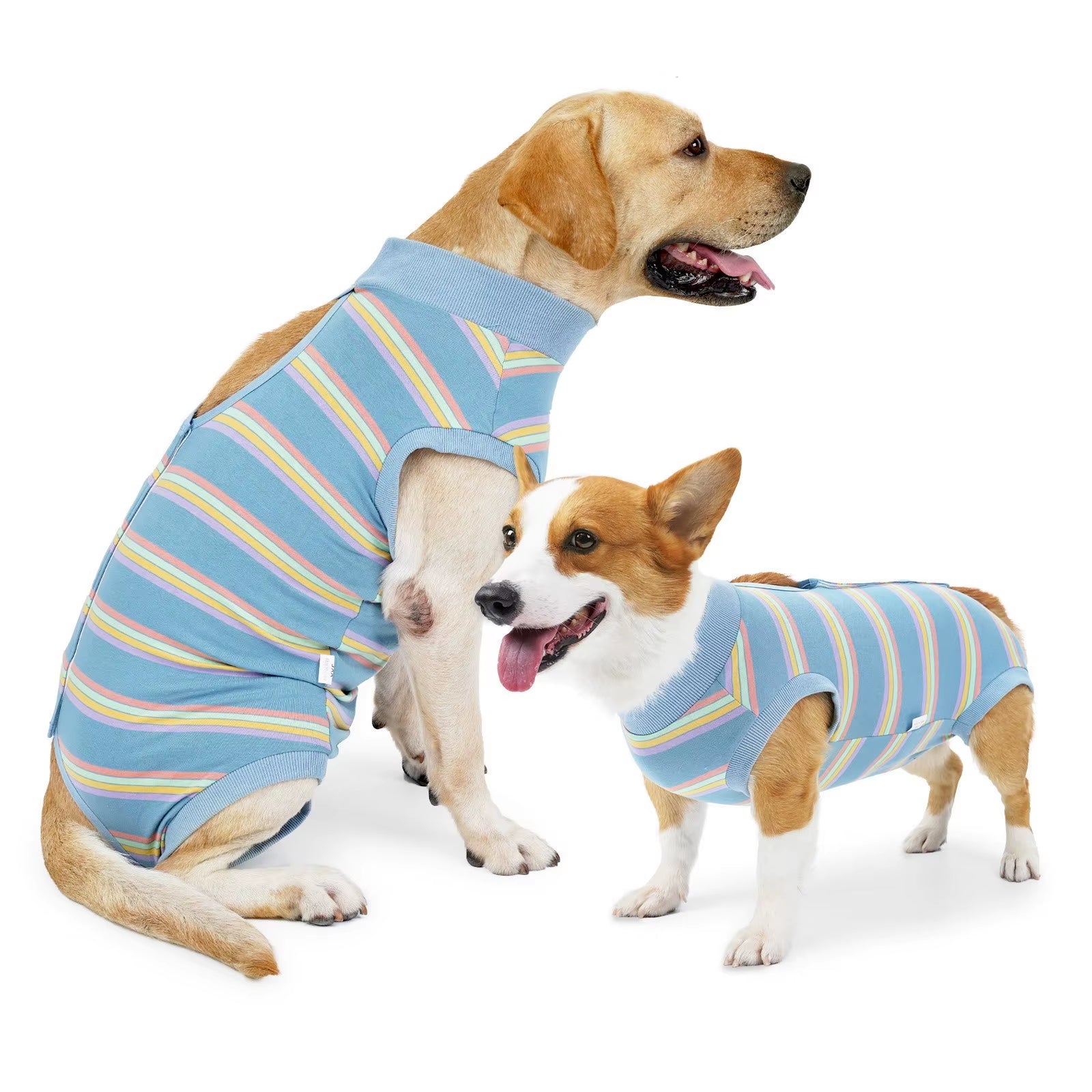 Pet Clothes Postoperative Clothes Winter Fleece Pet Cotton Coat Thickened Warm and Soft Winter Pet Clothes for Small Dogs Male
