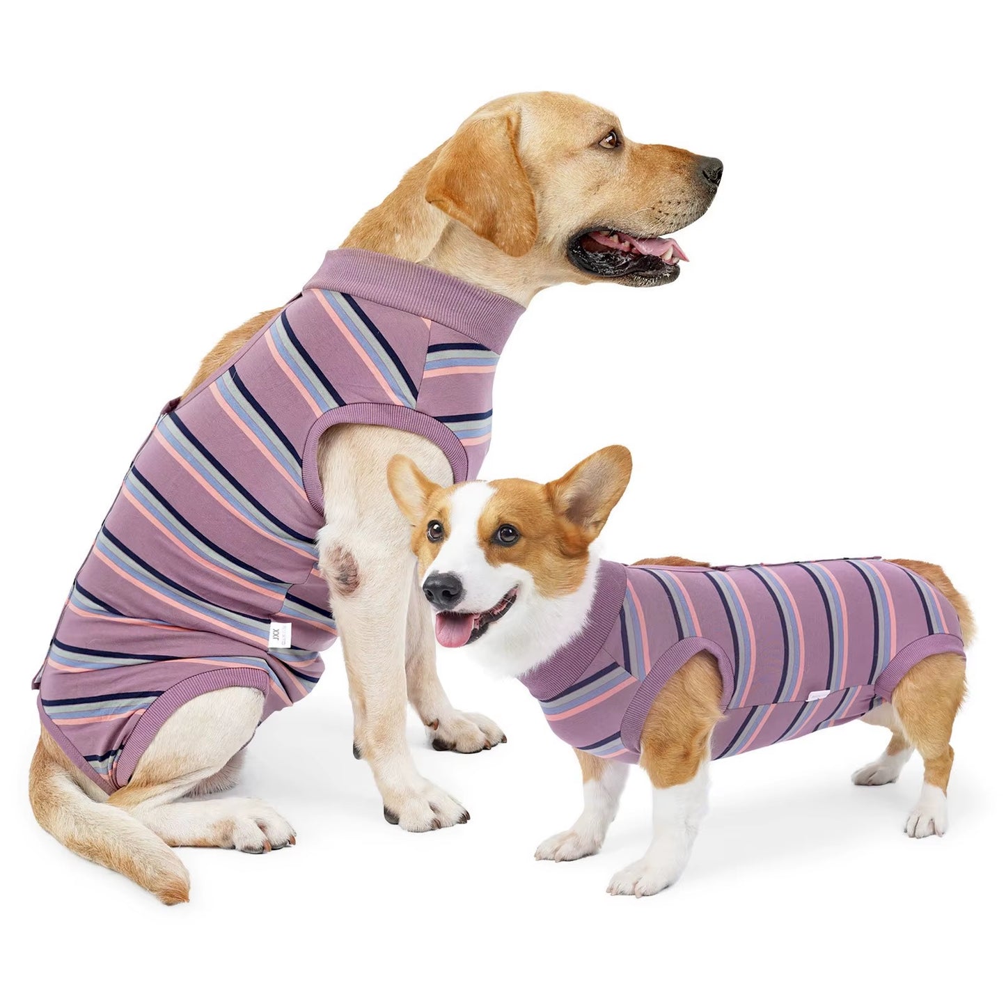 Pet Clothes Postoperative Clothes Winter Fleece Pet Cotton Coat Thickened Warm and Soft Winter Pet Clothes for Small Dogs Male